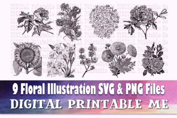 Download Floral Illustration Flower Drawing - Floral illustration Collection