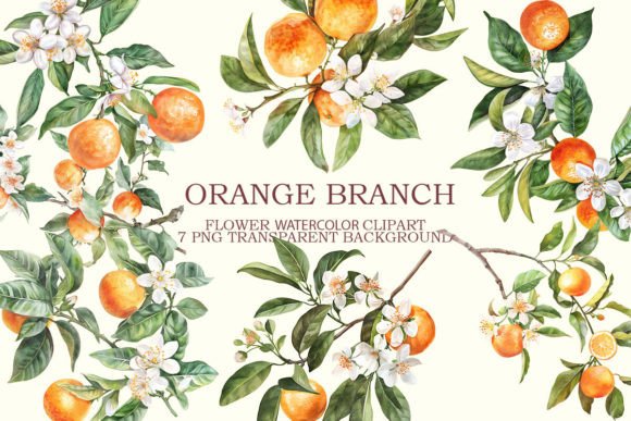 Download Orange Branch Clipart Bundle - Bundle Collection