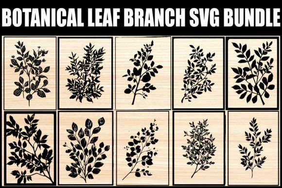 Download Botanical Leaf Branch SVG Bundle - Bundle Collection
