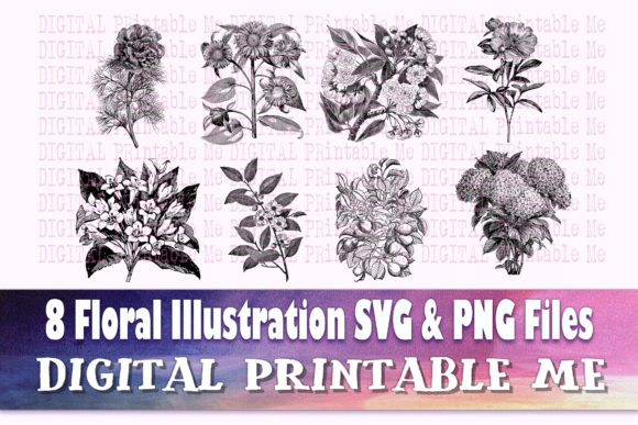 Download Floral Illustration Flower Drawing - Floral illustration Collection