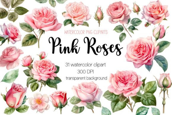 Download Pink Roses Watercolor Clipart Bundle - Bundle Collection